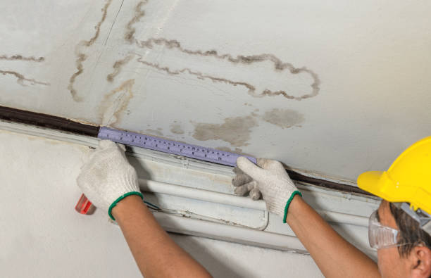 Reliable Water Damage contractor in Fairmount, TN by Water Damage Irwin